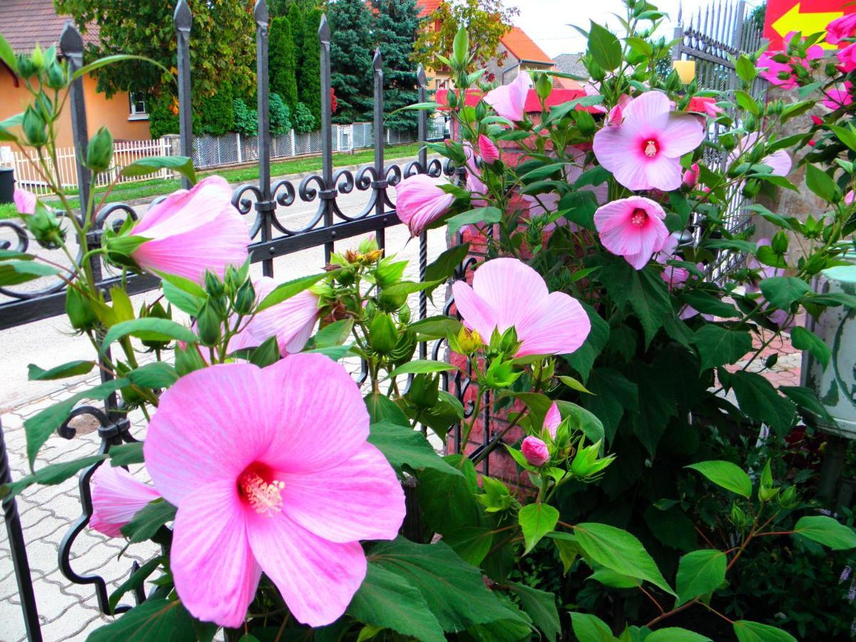 Heviz Kristaly Apartman Exterior foto